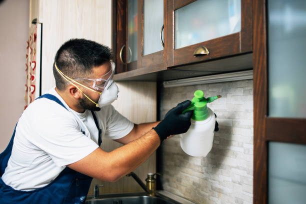 Flea Control Services in Bogart, GA