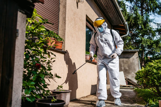 Best Pest Prevention Services  in Bort, GA