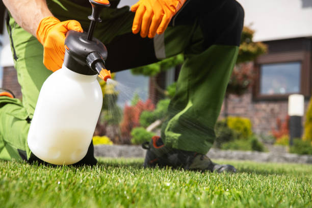 Best Affordable Pest Control Services  in Bort, GA