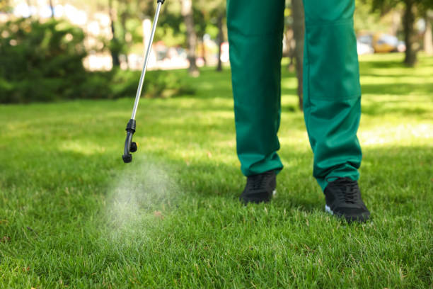Best Pest Inspection Near Me  in Bort, GA