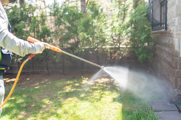 Best Spider Control Near Me  in Bort, GA