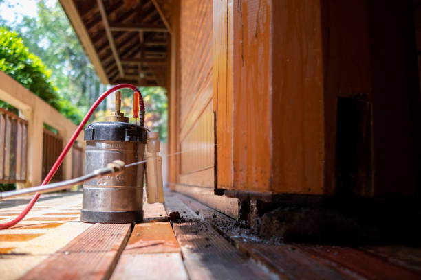 Best Mosquito Control Services  in Bort, GA