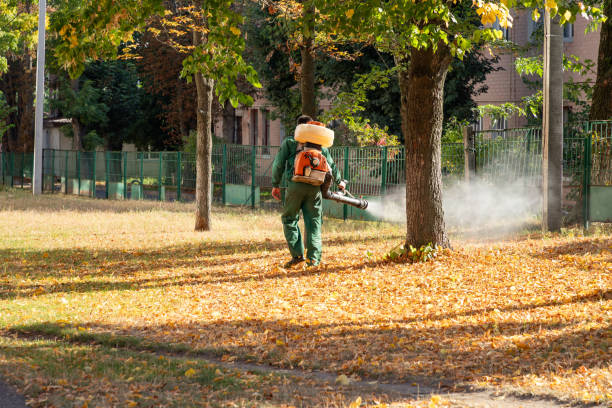 Best Affordable Pest Control Services  in Bort, GA