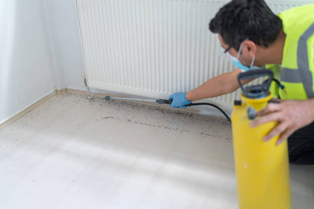 Best Bed Bug Extermination  in Bort, GA